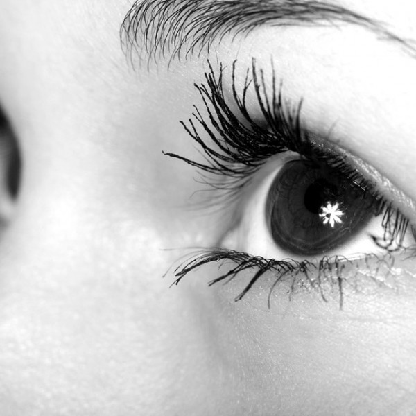 Kontaktlinsen sauerstoffdurchlässig Linsen Kontaktlinse Weißmann Augenoptiker Kontaktlinsenflüssigkeit Pflege