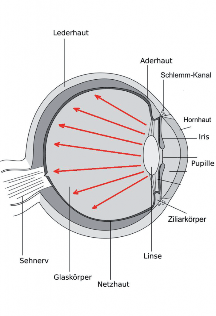 vorsorgeuntersuchungen-optometrie-weissmann-optik-gruener-star-augeninnendruck-messung-totopachy-nidek-untersuchung-messung-kontrolle-augen-augenaufbau