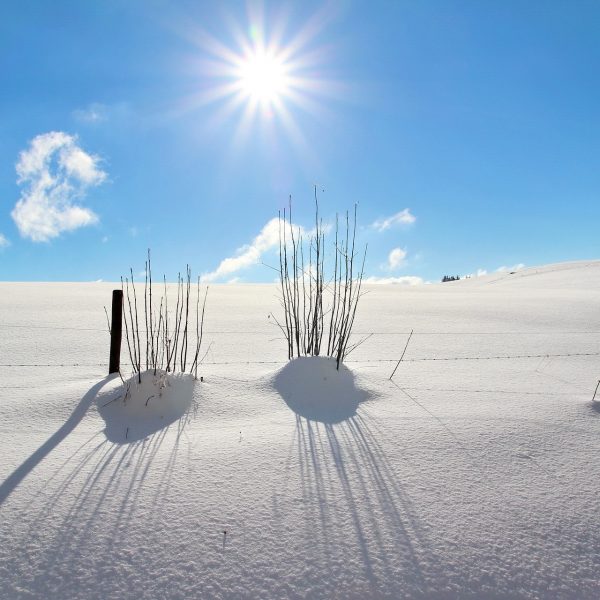 Schneeblindheit Schnee Sonne UV HEV Strahlung Optik Weißmann